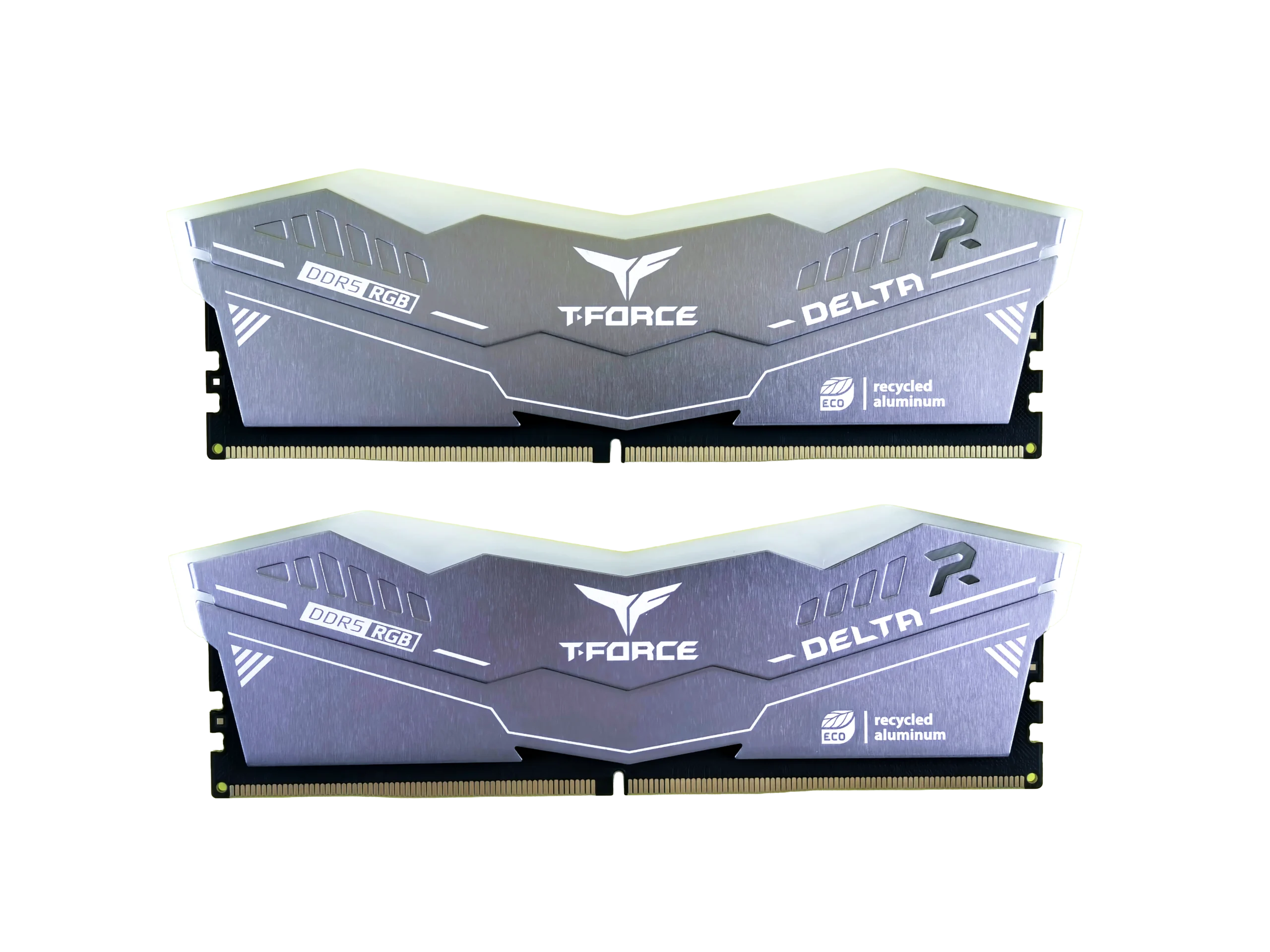 Random Access Memory (RAM)